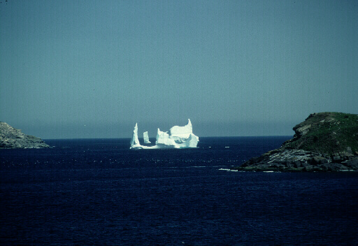 Bring your camera for some Newfoundland Iceberg pictures