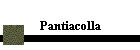 Pantiacolla