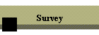 Survey
