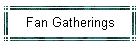 Fan Gatherings