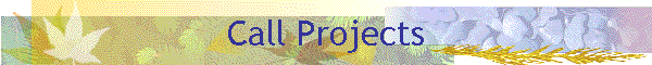 Call Projects