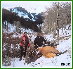 Montana Elk
