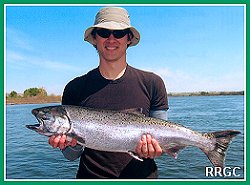 Columbia Salmon
Springer
