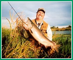 Yakima River Chinook
