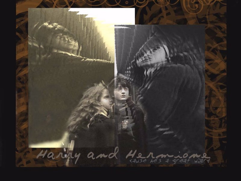 Harry and Hermione: Cause he is a great wizard