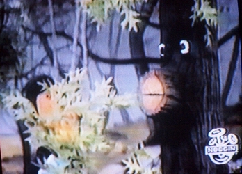 Here Is Your Life, Oak Tree