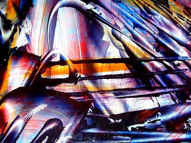 p5026796.jpg- Feral Abstraction