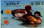 Red-crested Pochards 04/97