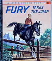 image Fury book 1