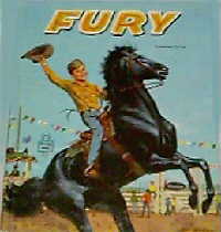 image Fury book 4
