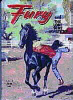 image Fury book 3