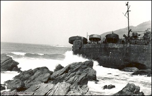 445 - William Anderson photo