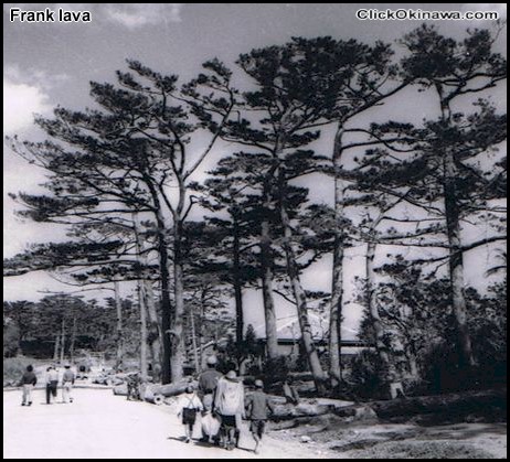 429 - Frank Iava photo