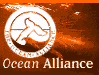 Visit Ocean Alliance